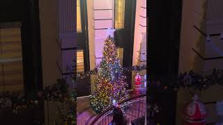 Tree Lighting on Carnival Breeze 12/2/24