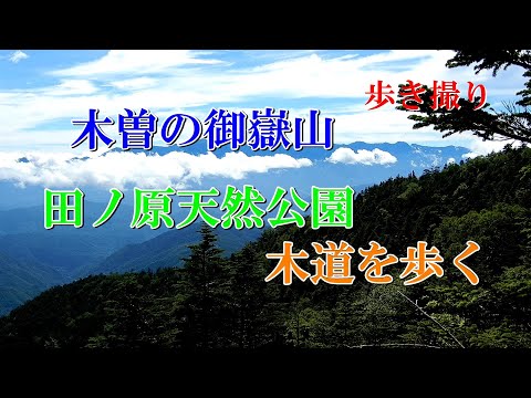 Caminhando pelo caminho de madeira no Parque Natural Tanohara, Monte Ontake em Kiso