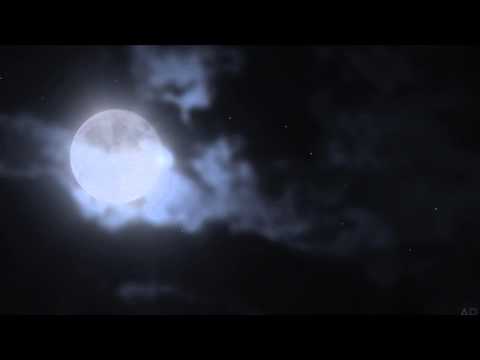 John Sokoloff ~ Her Voice