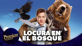 Mejor película familiar | Locura en el bosque | Premiere Películas 💎