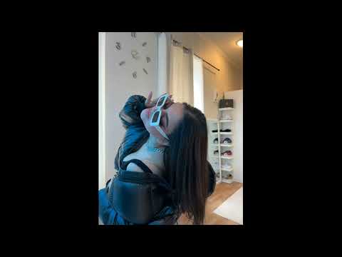 (FREE) OG Buda x White Punk Type Beat - 4bsent (Prod by .moontalk)