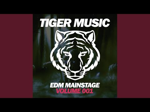 Keep on Rocking (DJ Dnk Remix)