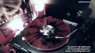 Fields Of The Nephilim - Subsanity 12" ➤ Vinyl Play