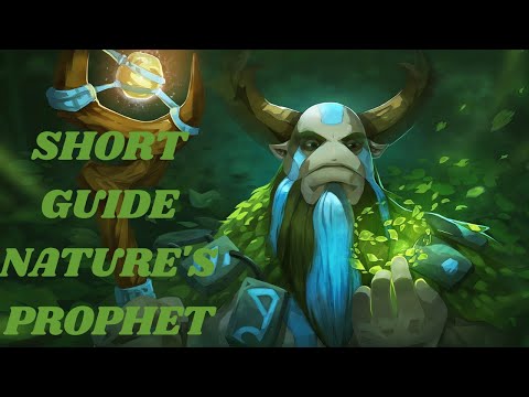 7.32 Nature's Prophet Short Guide | Dota 2