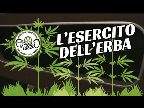 L'Esercito dell'Erba - FreeWeed (Parody L'Esercito del Selfie di Fragola, Arisa, Takagi & Ketra)