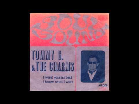 TOMMY G & THE CHARMS  i want you so bad (1967)