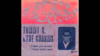 TOMMY G & THE CHARMS  i want you so bad (1967)