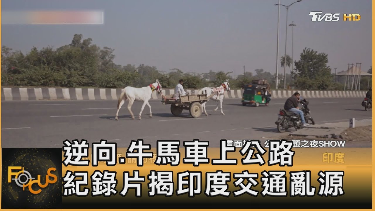 逆向.牛馬車上公路　紀錄片揭印度交通亂源