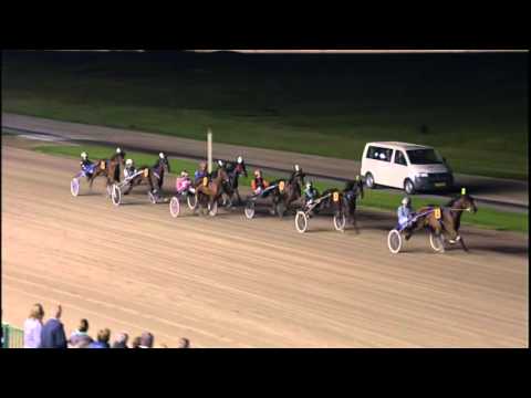 Victoria Park Wolvega 3-10-2015 KOERS 11 EARLY STARDUST - C.F. KAMMINGA