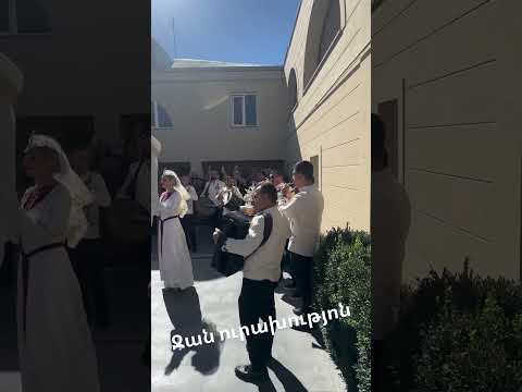 Kamo Seryanyan 🎶💥 Harsaniq #armenia #music #hayastanjan #new #wedding