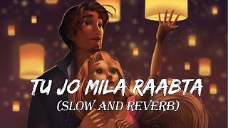 Tu Jo Mila Raabta | Shirley Setia Jubin Nautiyal | T-Series Mixtape||Lorem Lofi Music