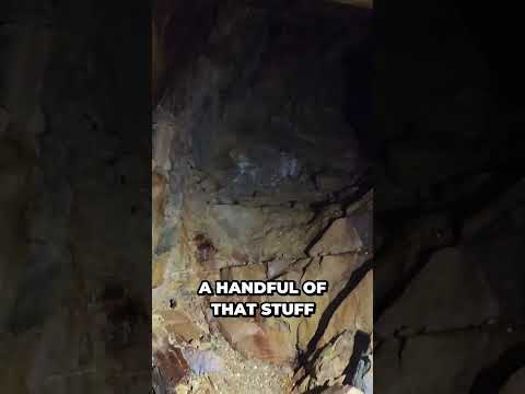 Tour Of The Blue Chip Mine