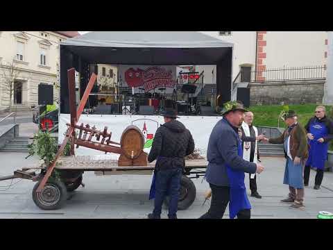 Blagoslov mladega vina v Lenartu