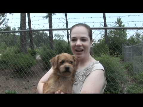 Pet of the Week 07/08/2011