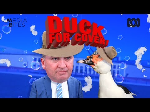 Duck for cover! | Media Bites