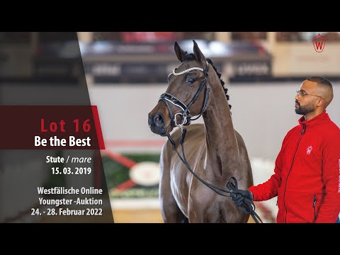Online Youngster-Auktion Lot 16 Be the Best Stute v. Brantzau - Casall