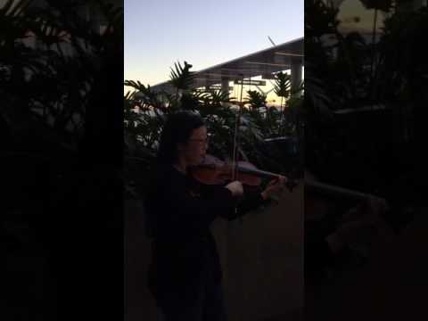 My Violin Protest at LAX (1/29/17)