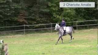 Video von Charlotte Amalie