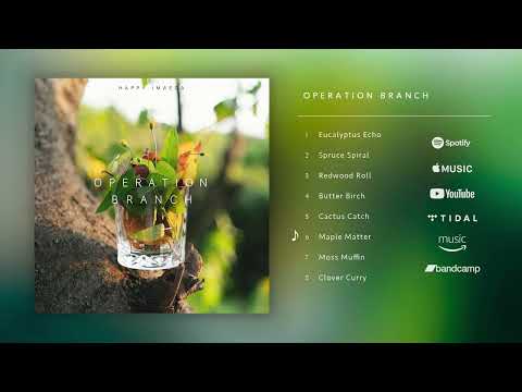 Happy Imaeda - 9th album "Operation Branch" drops on Feb 21