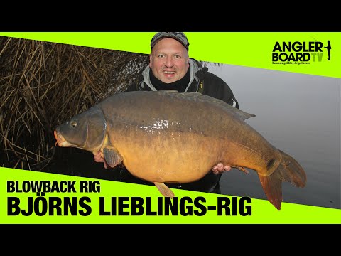 Blowback Rig binden | Björns Lieblings-Rig zum Karpfenangeln | Anglerboard TV