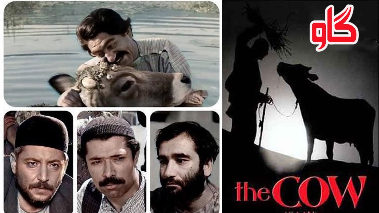 نسخه رنگی فیلم بسیار زیبای گاو -  فیلمی از داریوش مهرجویی -  برنده چندین جایزه ?