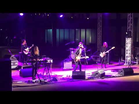 The Veils - Low lays the Devil