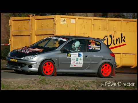 visual art rally 2019