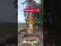 Pandi Muni ️ Muniswaran Status Aadi Pandimuni Divotional Vibe