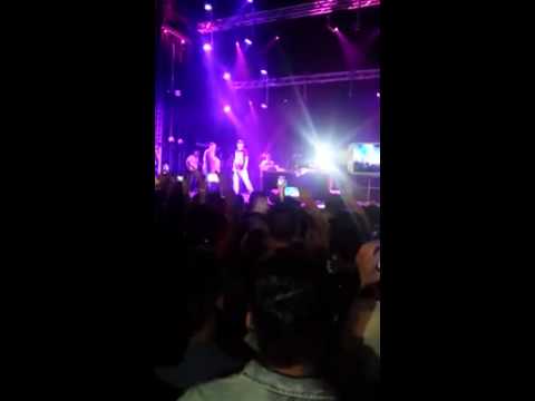 Unikkatil koncert ne zvicer