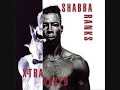 Shabba Ranks Another One Program