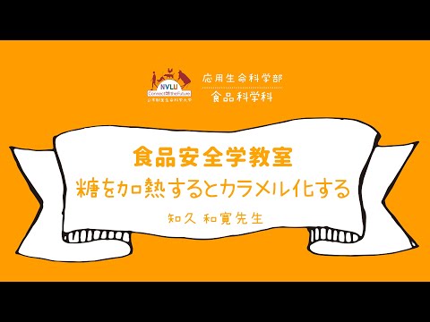 動物科学科 糖を加熱するとカラメル化する【日本獣医生命科学大学 応用生命科学部 １分動画 食品安全学教室】