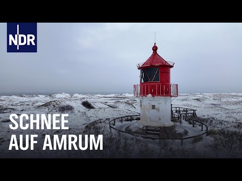 Amrum: Winter auf der Nordseeinsel | Nordseereport | NDR Doku