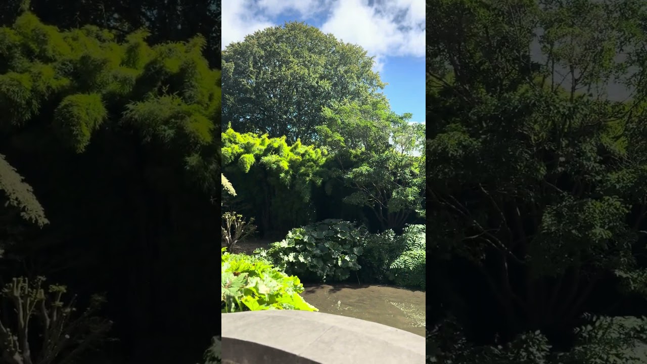 YouTube Short thumbnail