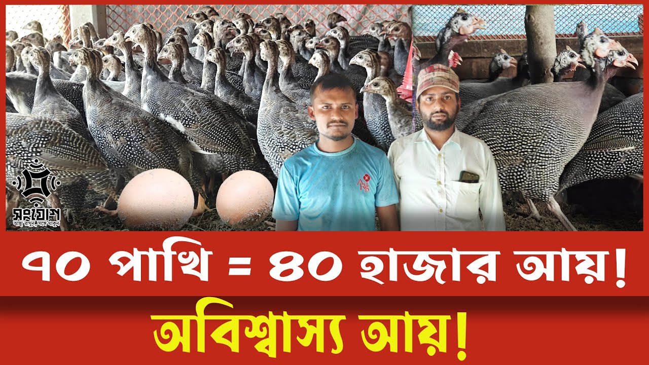 মাত্র ৭০ পাখি থেকে মাসে ৪০ হাজার! রুবেলের অবিশ্বাস্য সাফল্য