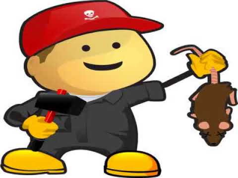 download lagu mp3 mp4 Pest Control Companies In Abu Dhabi, download lagu Pest Control Companies In Abu Dhabi gratis, unduh video klip Pest Control Companies In Abu Dhabi