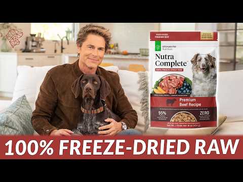 Rob Lowe's Nutra Complete Dog Food Review: Worth the Hype?