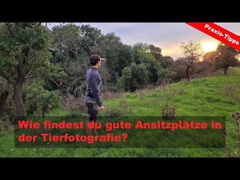 How do you find good hides in wildlife photography