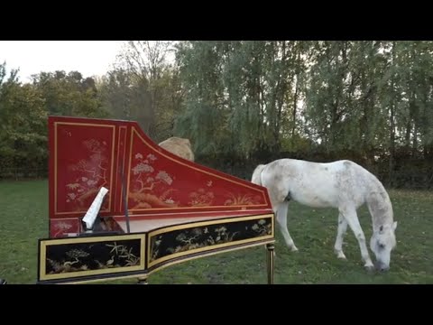 Il Gusto Barocco: Johann Sebastian Bach - Triple Concerto, BWV 1044, I. Allegro & Albumtrailer