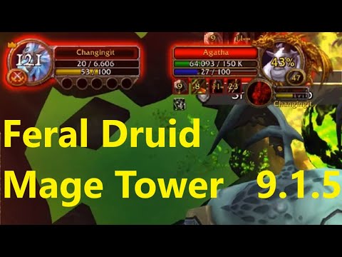 Feral Druid Mage Tower Challenge IT'S NOT EVEN CLOSE 😂😭 An Impossible Foe | WoW Shadowlands 9.1.5