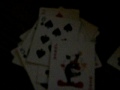 The Card Shark