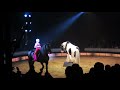 Horses Big Apple Circus NYC