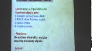 2) Dr. Maha Sabry 16/11/2014 [ somatic sensory cortex ]