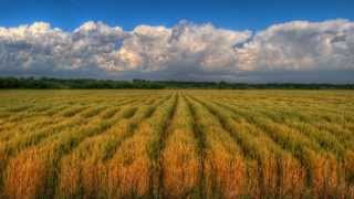 Mississippi Mass Choir  &quot;America The Beautiful&quot;