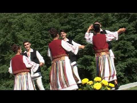 Simona Teodorescu - Ardeleana din Banat