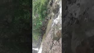 preview picture of video 'Shitla mata waterfall manpur indore'