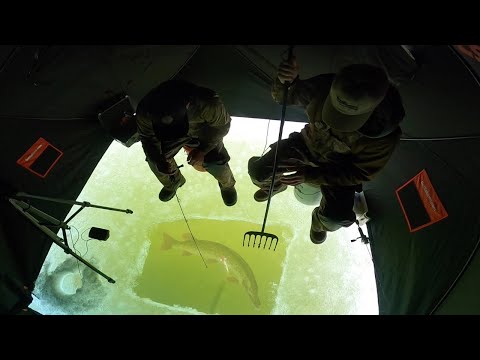 Darkhouse Spearing BIG Fish Through The ICE!