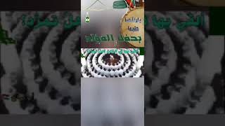 يا راقصا طربا بحفل المولد أداذ ظفر النتيفات
