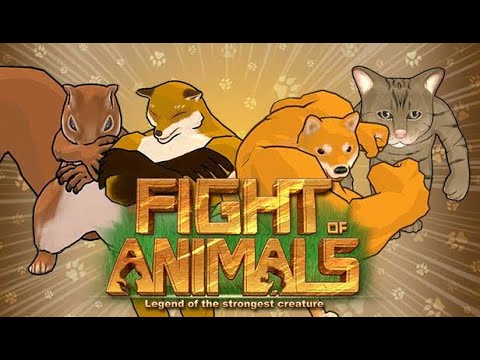 Monkey and cat & some animal fight funny pets clip video