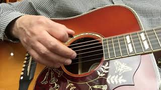 Video thumbnail for Hummingbird Deluxe by Guitar Trailer