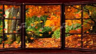 Percy Faith / Autumn Leaves